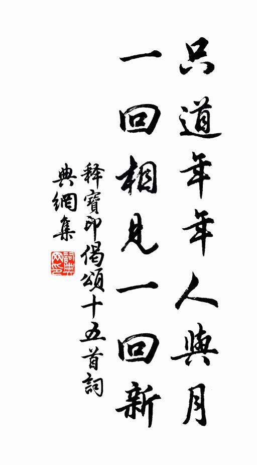 释宝印只道年年人与月，一回相见一回新书法作品欣赏
