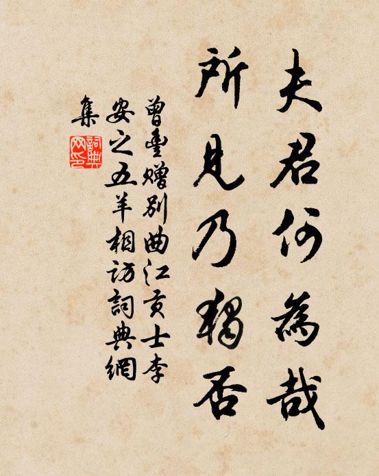 曾丰夫君何为哉，所见乃独否书法作品欣赏