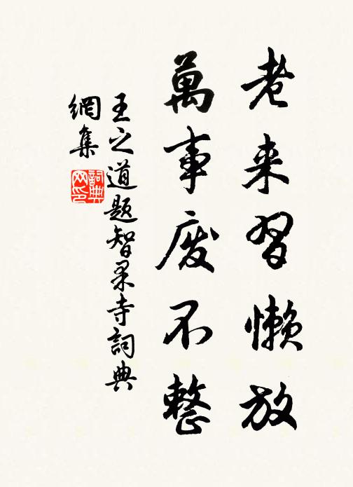 王之道老来习懒放，万事废不整书法作品欣赏