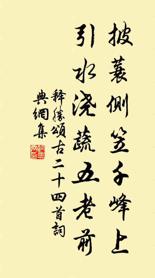 释胜披蓑侧笠千峰上，引水浇蔬五老前书法作品欣赏