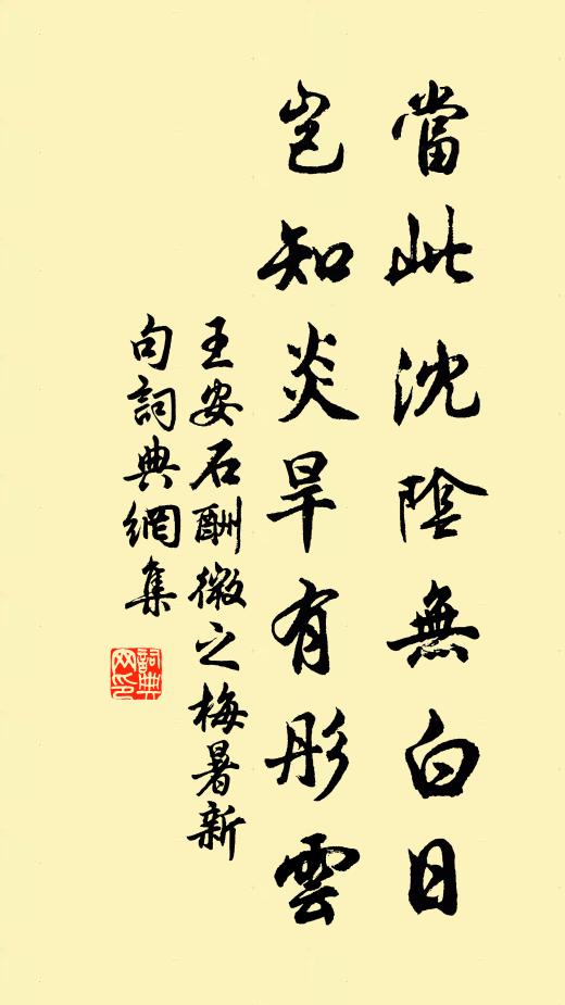 王安石当此沈阴无白日，岂知炎旱有彤云书法作品欣赏