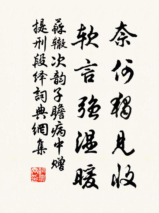 苏辙奈何独见收，软言强温暖书法作品欣赏