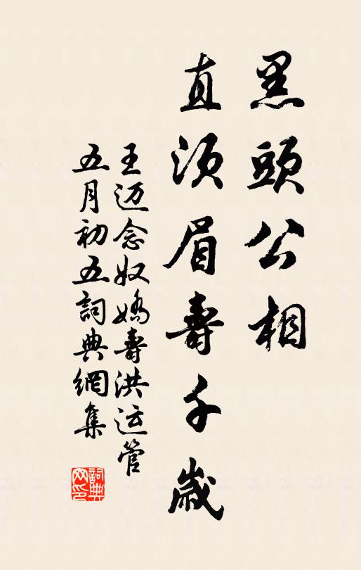 王迈黑头公相，直须眉寿千岁书法作品欣赏