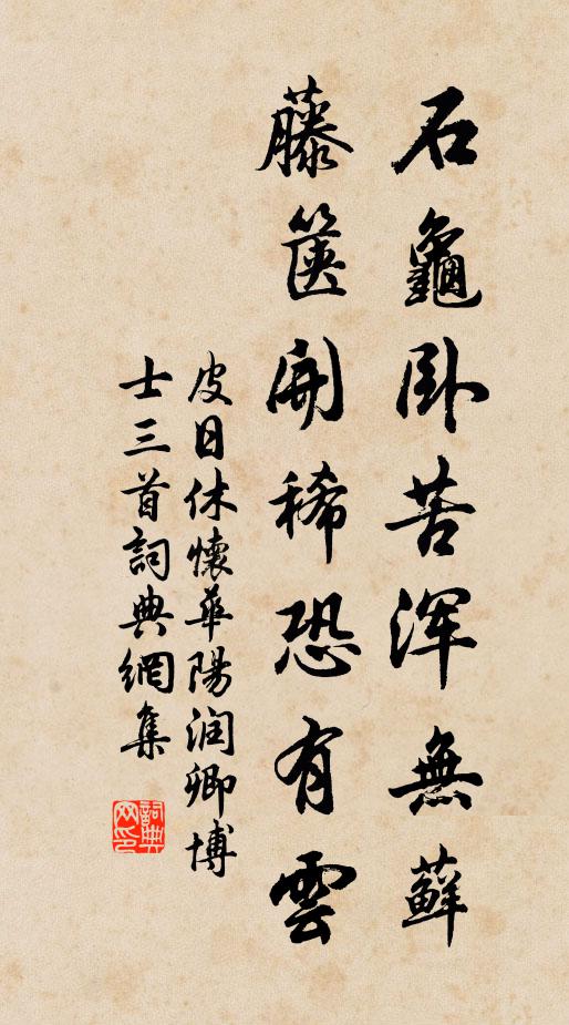皮日休石龟卧苦浑无藓，藤箧开稀恐有云书法作品欣赏