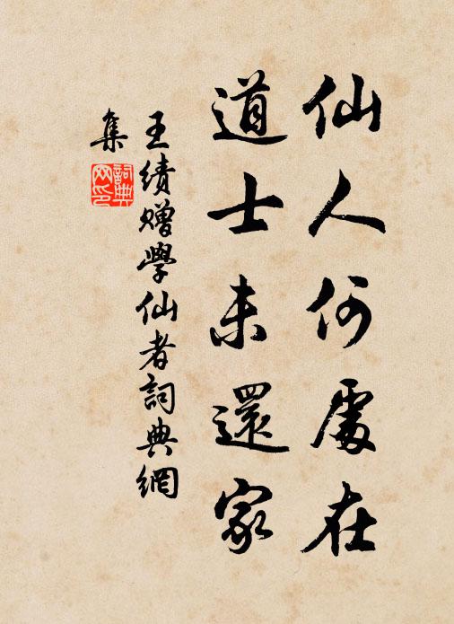 王绩仙人何处在，道士未还家书法作品欣赏