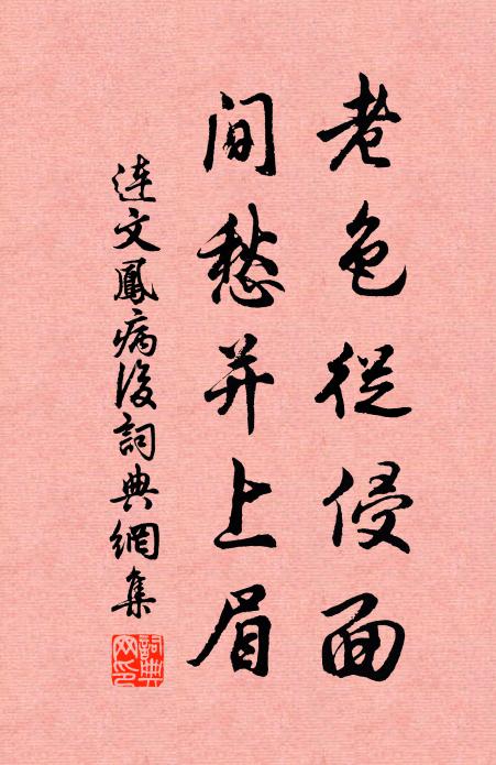连文凤老色从侵面，间愁并上眉书法作品欣赏