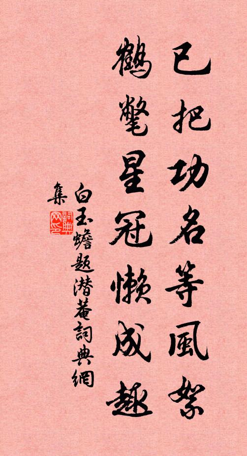 白玉蟾已把功名等风絮，鹤氅星冠懒成趣书法作品欣赏