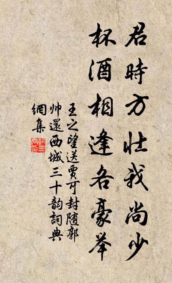 王之望君时方壮我尚少,杯酒相逢各豪举书法作品欣赏