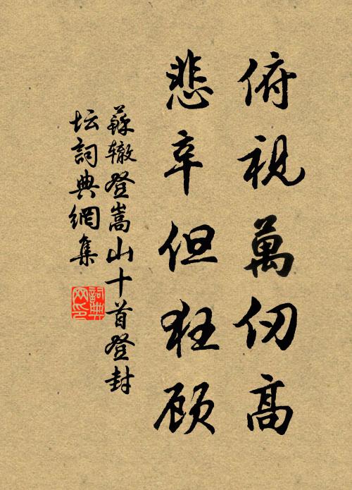 苏辙俯视万仞高，悲辛但狂顾书法作品欣赏