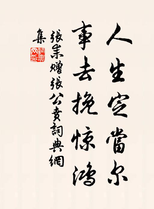 张耒人生定当尔,事去挽惊鸿书法作品欣赏