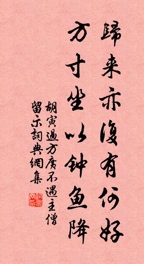 胡寅归来亦复有何好，方寸坐以钟鱼降书法作品欣赏