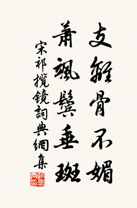 宋祁支离骨不媚，萧飒鬓垂斑书法作品欣赏