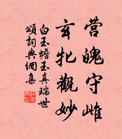 白玉蟾营魄守雌，玄牝观妙书法作品欣赏
