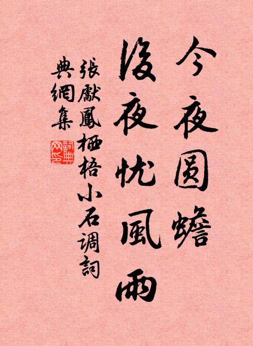 张先今夜圆蟾，后夜忧风雨书法作品欣赏