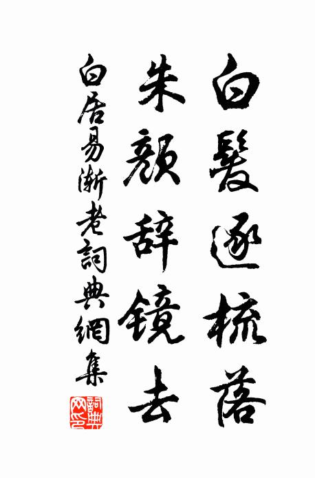 白居易白发逐梳落，朱颜辞镜去书法作品欣赏