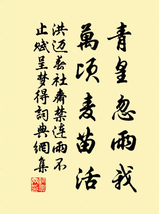 洪迈青皇忽雨我，万顷麦苗活书法作品欣赏