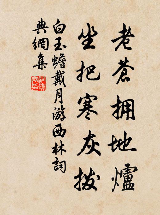 白玉蟾老苍拥地炉，坐把寒灰拨书法作品欣赏
