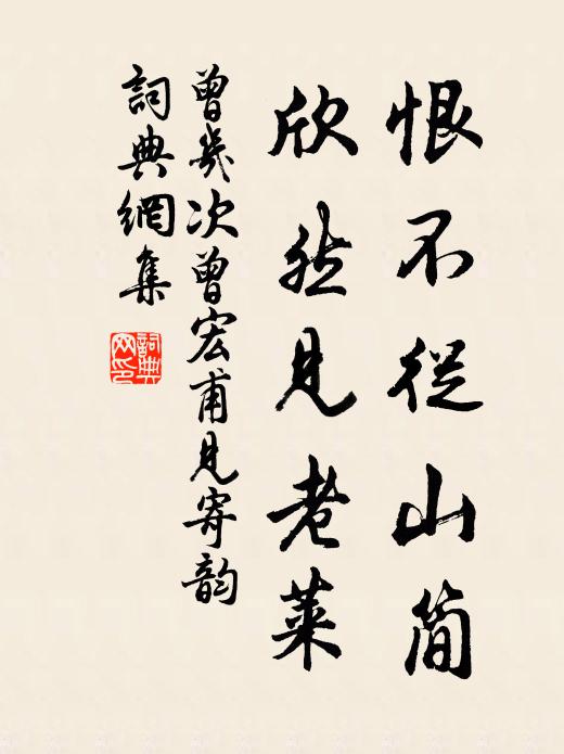 曾几恨不从山简，欣然见老莱书法作品欣赏