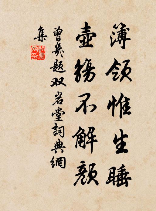 曾几簿领惟生睡，壶觞不解颜书法作品欣赏