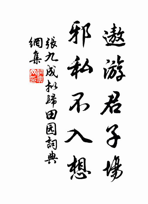 张九成遨游君子场，邪私不入想书法作品欣赏