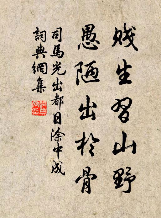 司马光贱生习山野，愚陋出於骨书法作品欣赏