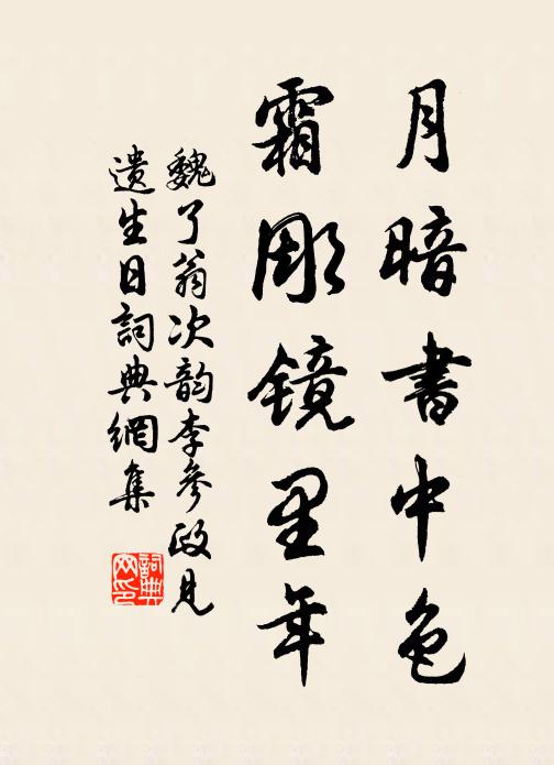 魏了翁月暗书中色，霜彫镜里年书法作品欣赏