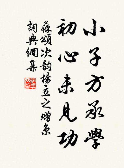 苏颂小子方承学，初心未见功书法作品欣赏