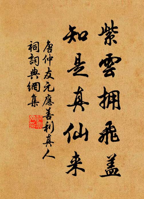 唐仲友紫云拥飞盖，知是真仙来书法作品欣赏