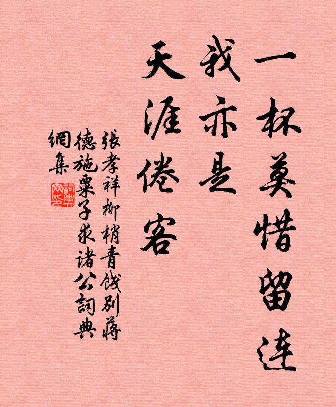 张孝祥一杯莫惜留连，我亦是、天涯倦客书法作品欣赏