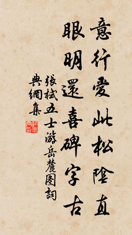 张栻意行爱此松阴直，眼明还喜碑字古书法作品欣赏