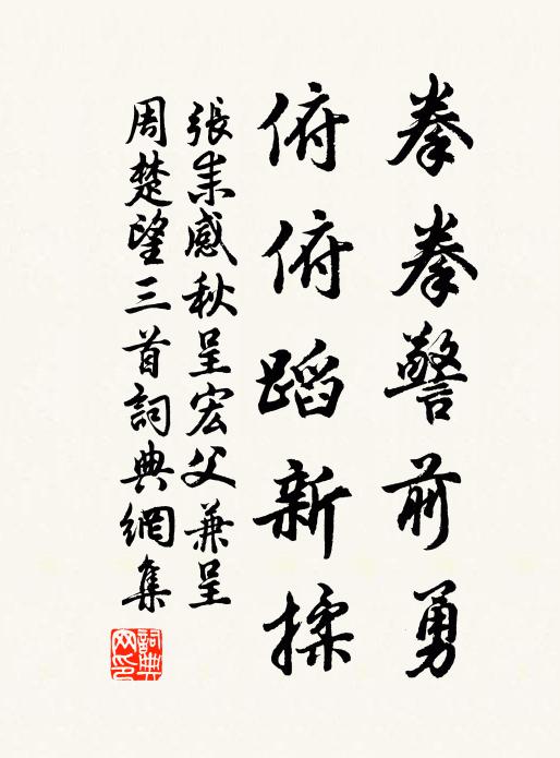 张耒拳拳警前勇，俯俯蹈新揉书法作品欣赏