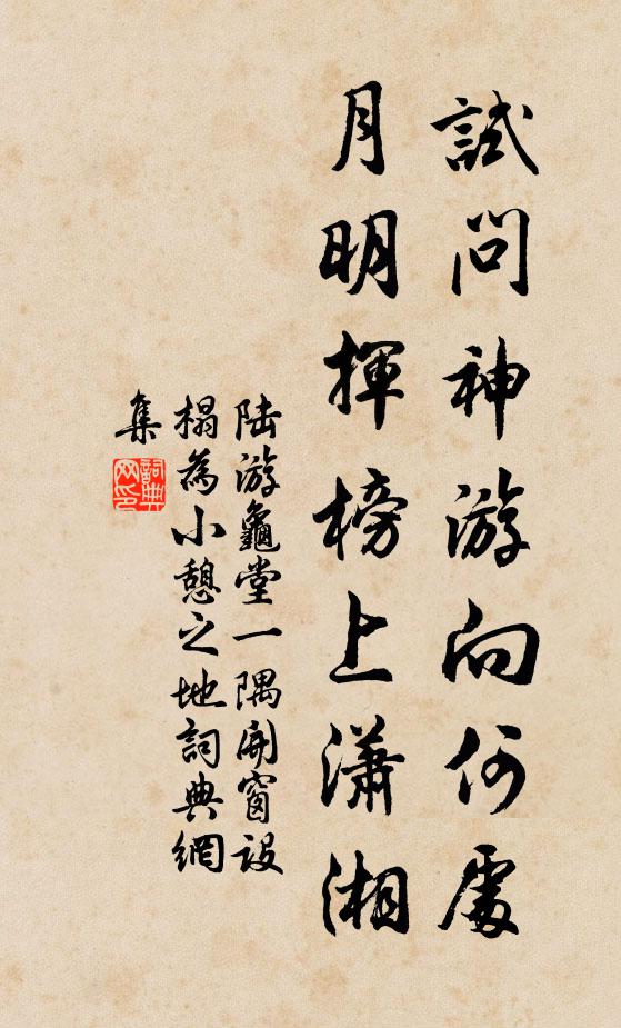 陆游试问神游向何处？月明挥榜上潇湘书法作品欣赏