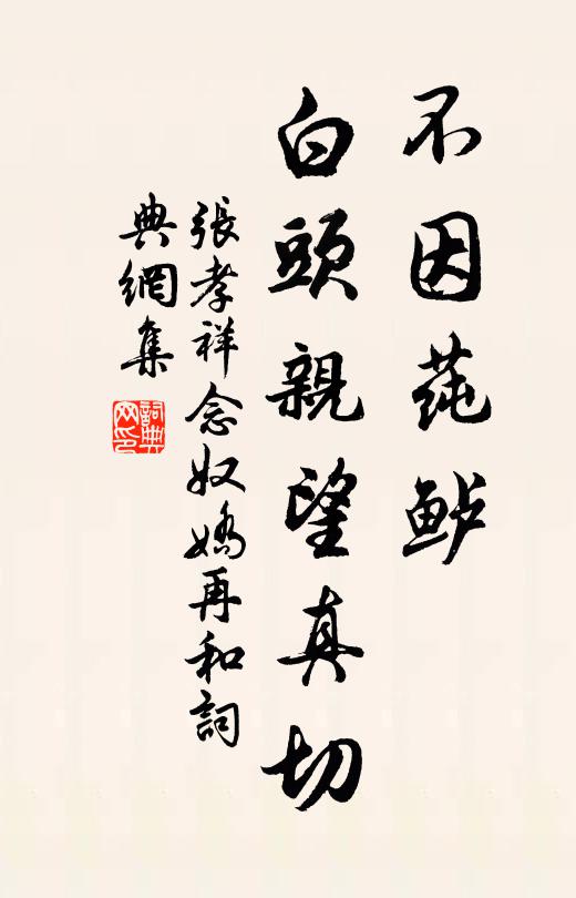 张孝祥不因莼鲈，白头亲望真切书法作品欣赏