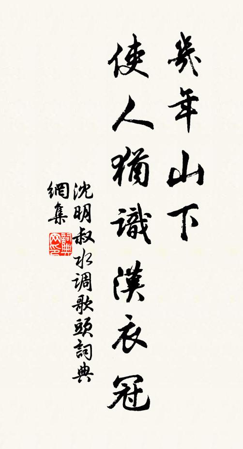 沈明叔几年山下，使人犹识汉衣冠书法作品欣赏