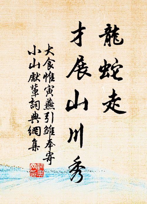 大食惟寅龙蛇走，才展山川秀书法作品欣赏