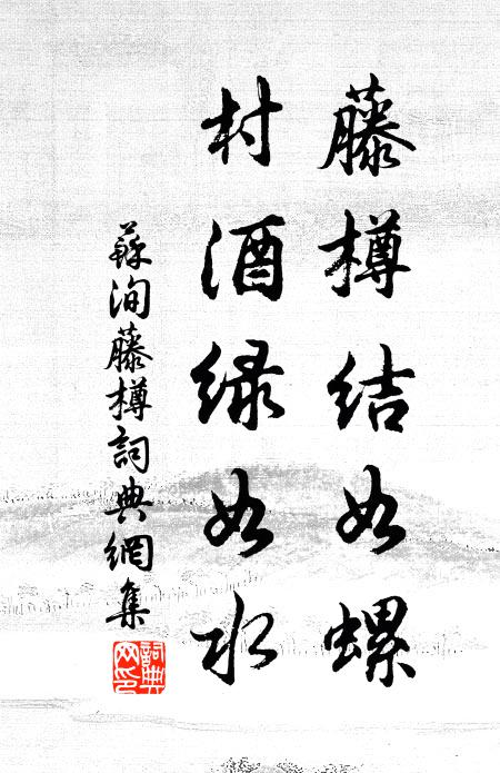 苏洵藤樽结如螺，村酒绿如水书法作品欣赏