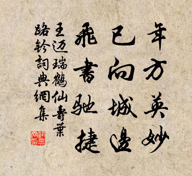 王迈年方英妙，已向城边，飞书驰捷书法作品欣赏