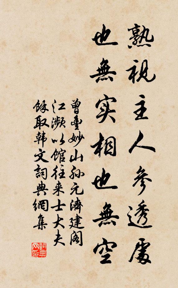 曾丰熟视主人参透处，也无实相也无空书法作品欣赏