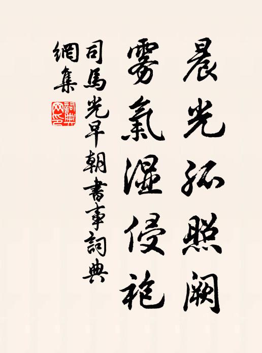 司马光晨光孤照阙，雾气湿侵袍书法作品欣赏
