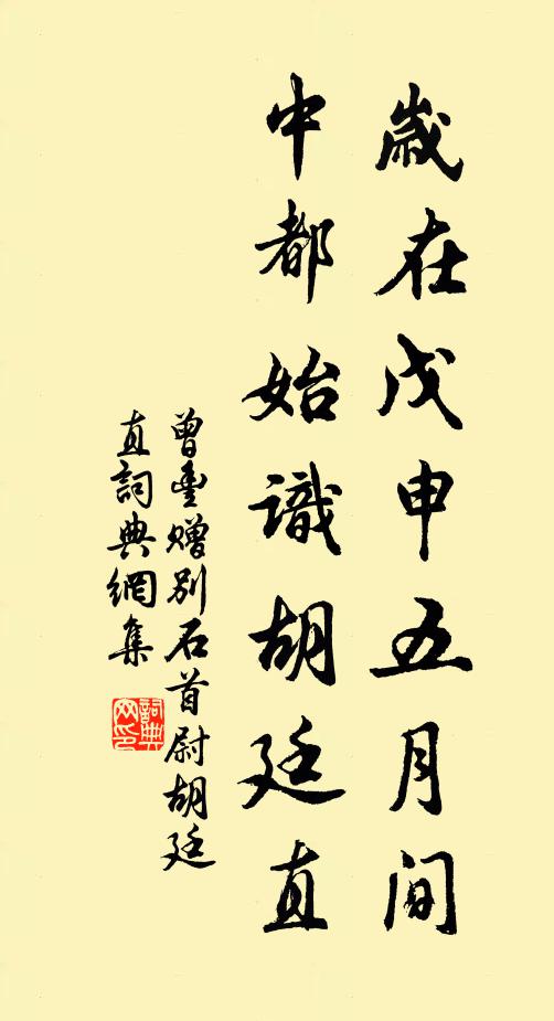 曾丰岁在戊申五月间，中都始识胡廷直书法作品欣赏