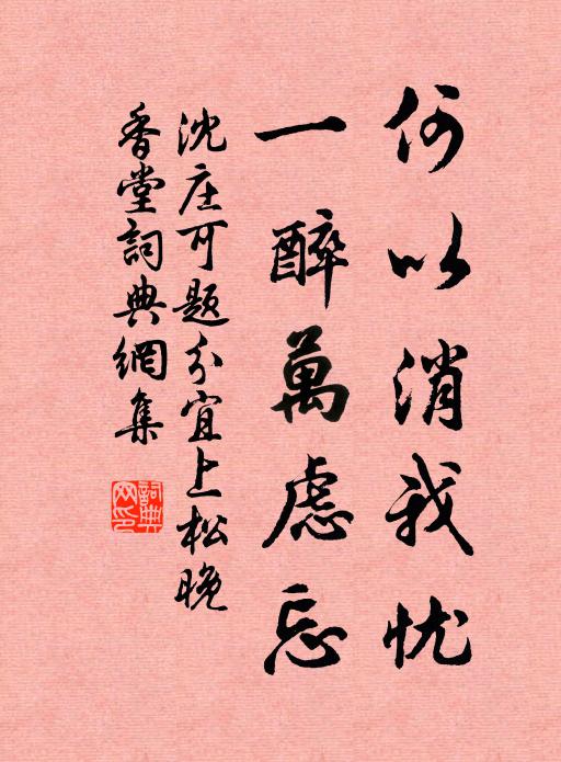 沈庄可何以消我忧，一醉万虑忘书法作品欣赏
