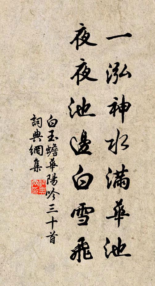 白玉蟾一泓神水满华池，夜夜池边白雪飞书法作品欣赏