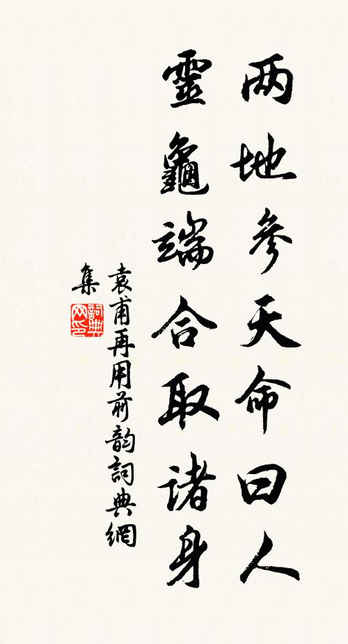 袁甫两地参天命曰人，灵龟端合取诸身书法作品欣赏
