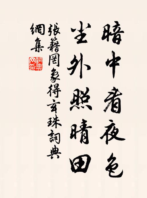 张籍暗中看夜色，尘外照晴田书法作品欣赏