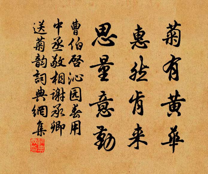 曹伯启菊有黄华，惠然肯来，思量意勤书法作品欣赏