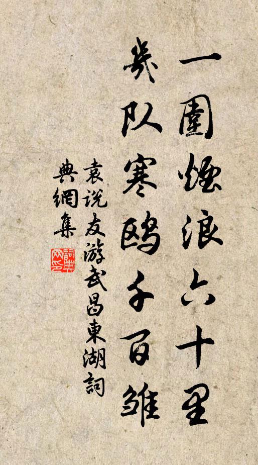 袁说友一围烟浪六十里，几队寒鸥千百雏书法作品欣赏