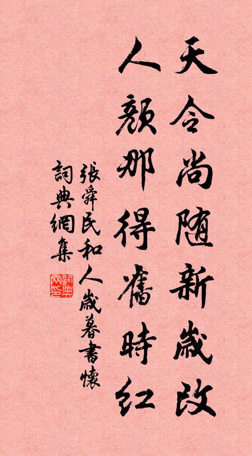 张舜民天令尚随新岁改，人颜那得旧时红书法作品欣赏