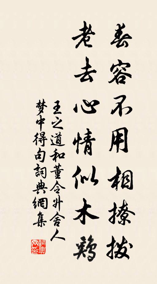 王之道春容不用相撩拨，老去心情似木鸡书法作品欣赏
