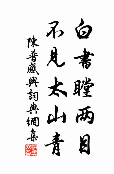 陈普白书瞠两目，不见太山青书法作品欣赏