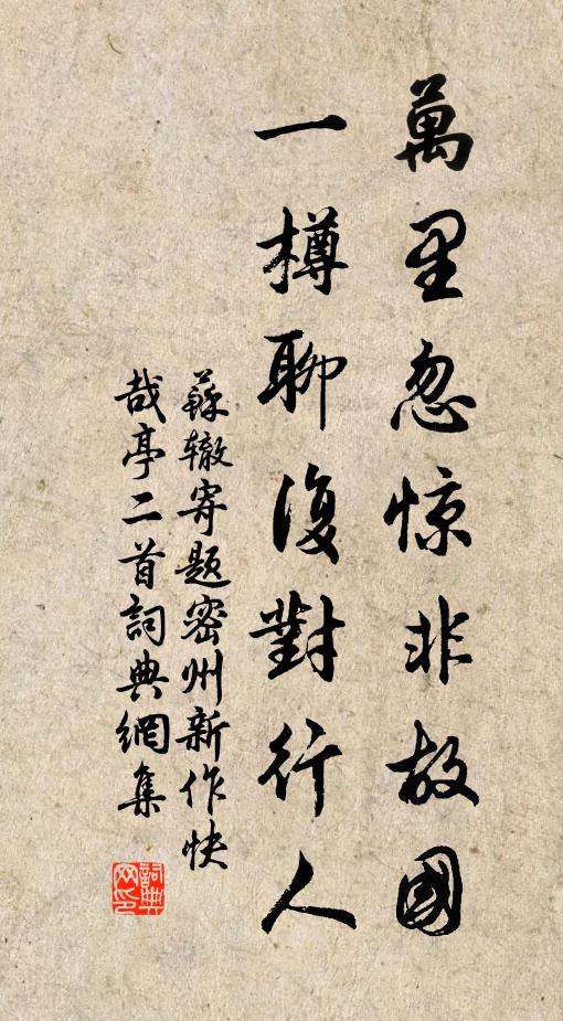 苏辙万里忽惊非故国，一樽聊复对行人书法作品欣赏